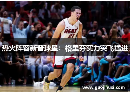 热火阵容新晋球星：格里芬实力突飞猛进